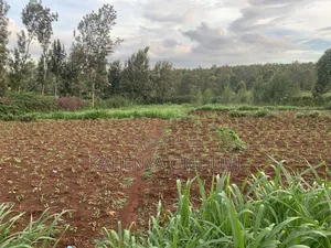 Prime Plot for Sale