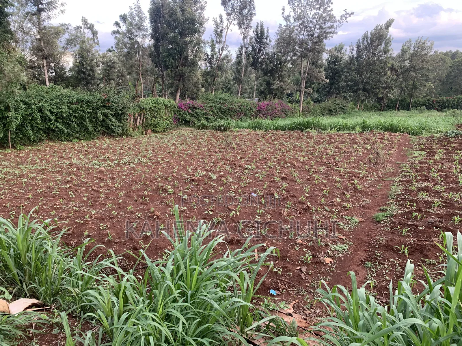 Prime Plot for Sale