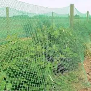 Weatherproof Bird Nets – Protect All Year Round!
