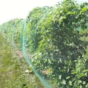 Crop-Saving Bird Nets at Unbeatable Prices!