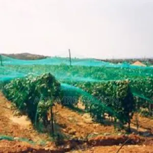 Protect Your Fruits Crops With Bird Netting!
