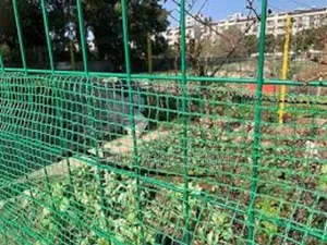 High-Quality Bird Nets for Every Farmer!