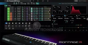 Montage M Esp VST
