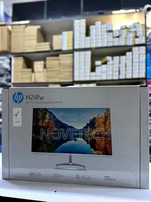 HP 24-Inch FHD Monitor AMD Freesync Technology (M24fw)Silver