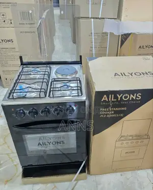 Ailyons Free Standing 3+1 Excellent Cooker
