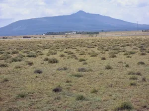 Commercial Prime Land Touching Tarmac,3 Acres