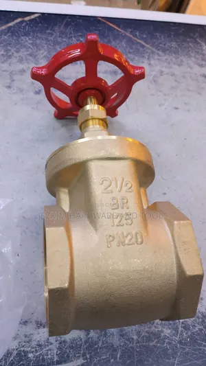 Peglar Gate Valve 21⁄2"