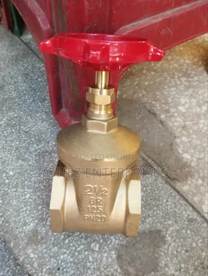 Gate Valve 21⁄2 Pegral