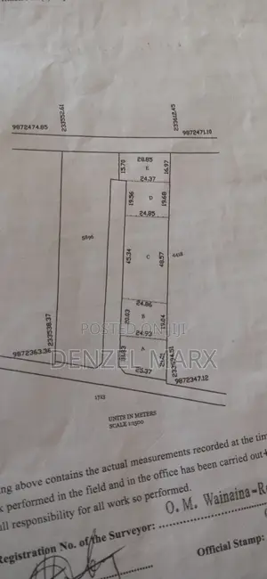 Proffessional Land Surveyor
