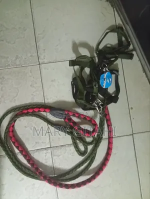 Quality Dog Leash in Sizes