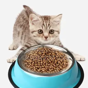 Stainless Steel Pet Bowls for Cats Dogs Non-Slip - Blue