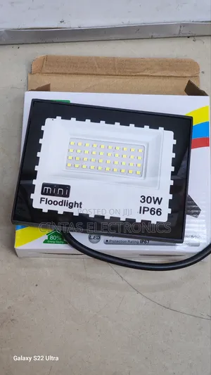 Mini Floodlight 30W