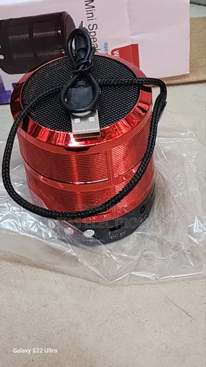 WS-887 Mini Speaker