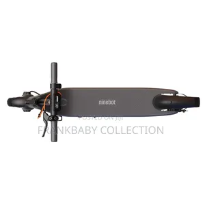 Ninebot Electric Scooter