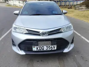 Toyota Axio 2017 Silver