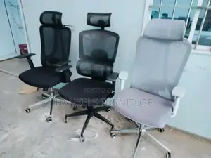 R5 Orthopedic Office Chair