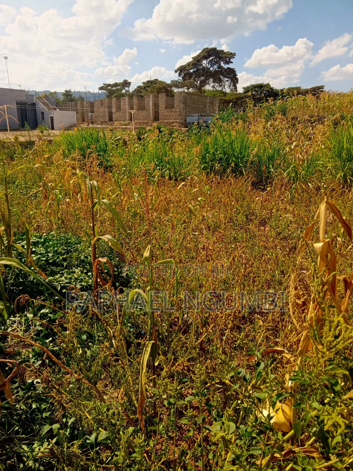 Machakos Canaan/Katethya Plot