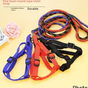 Dog Leash / Harness With Collar*