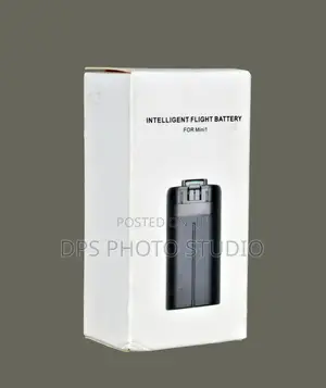 Intelligent Flight Battery for Mini 1