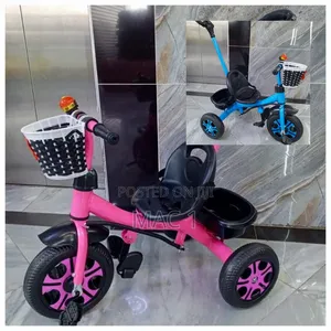 Tricycle With Push Handle