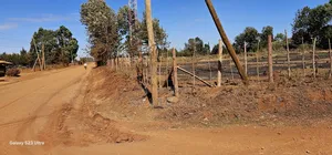 Plots for Sale in Eldoret Racecours Elgonview Border