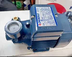 New Pedrollo Water Pump/ Pkm60 Pedrollo Water Pump Booster