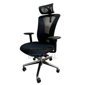 Executive Ergonomic Chair