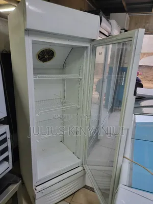 Standing Display Fridge 380L