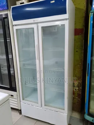 Double Door Display Fridge