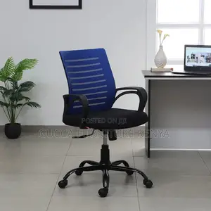 Office Chairs:Breathable Mesh Ergonomic Chair in Blue Colour