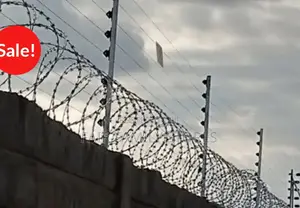 Wall Top Electric Fence