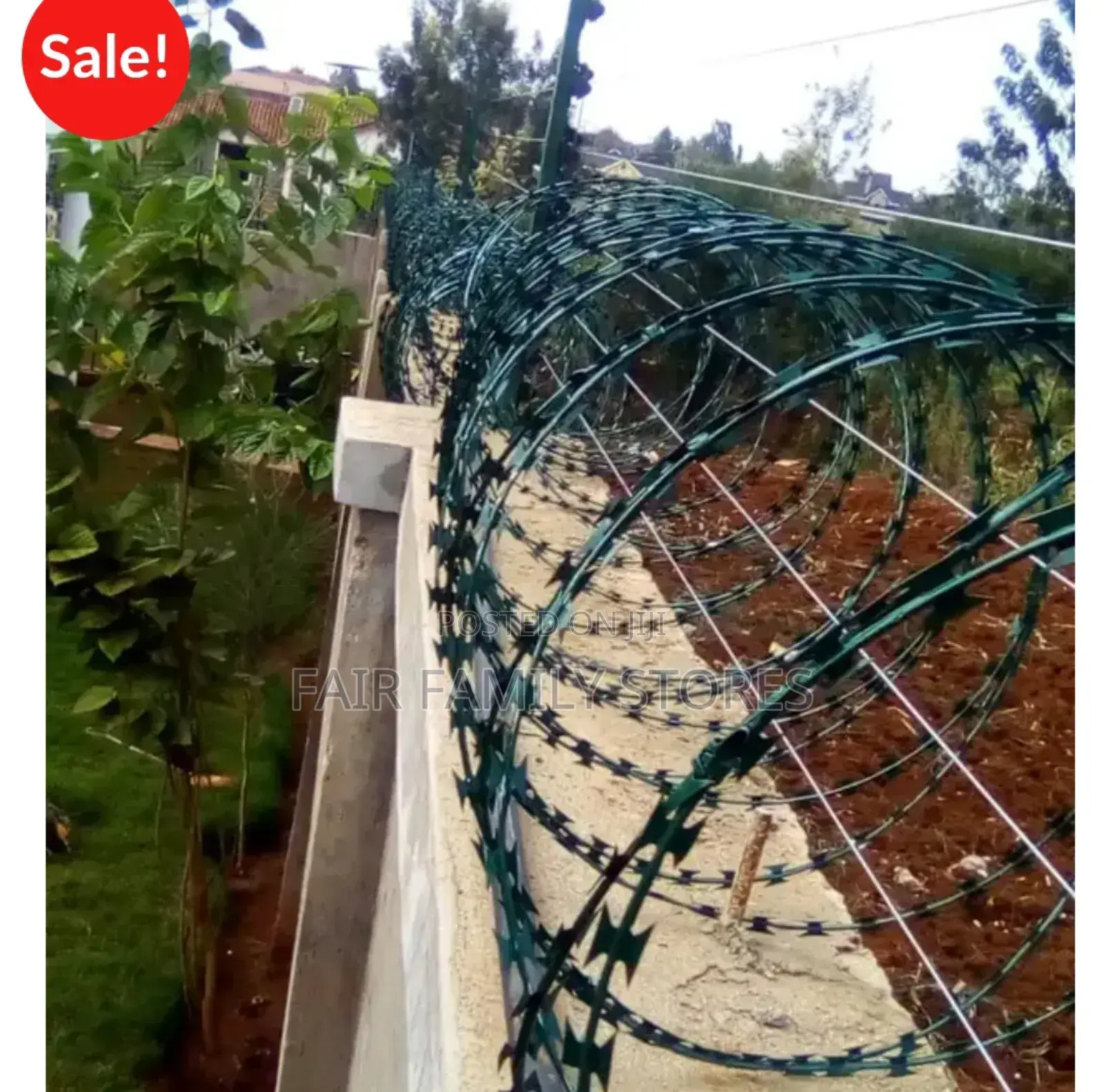 Wall Top Electric Fence