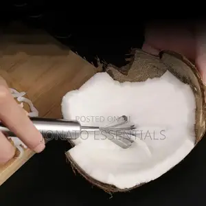 Stainless Steel Coconut Scraper and Grater