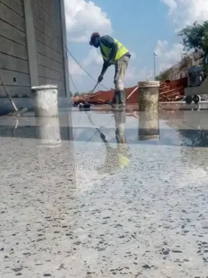 Floor Polished Terazzo Services