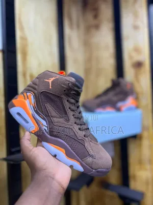 Brown Jordan Raptor Sneakers