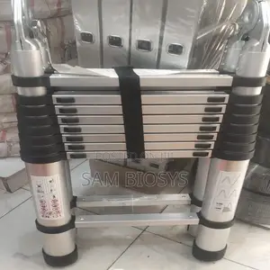 5.6M Telescopic Ladder