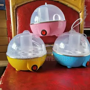 Electric Egg Boiler