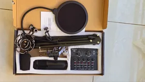 Legendary Vocal Condenser Microphone