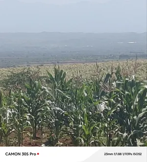 Eka 11 Entonet Loitoktok at 850, 000 Kila Ekali