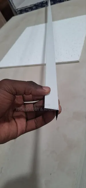 Acoustic Ceiling Angle-3m