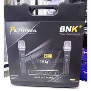 BNK BK220E Eco Delay 2 Channels UHF Wireless Microphone