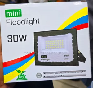 30w Ac Floodlight