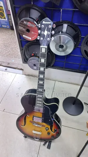 Ibanez Semi Hollow Electric Guitar