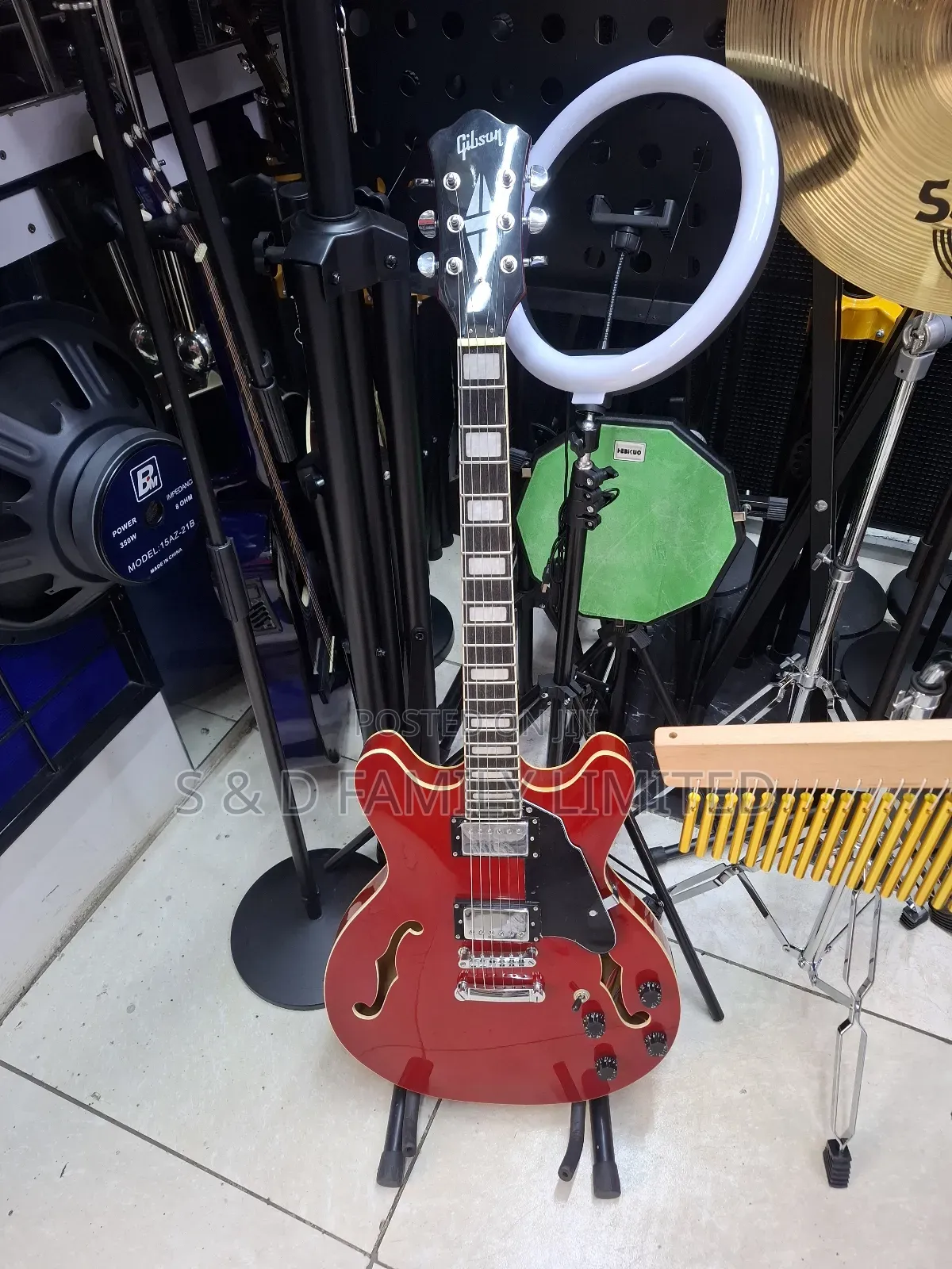335 Semi Hollow Electric Guitar
