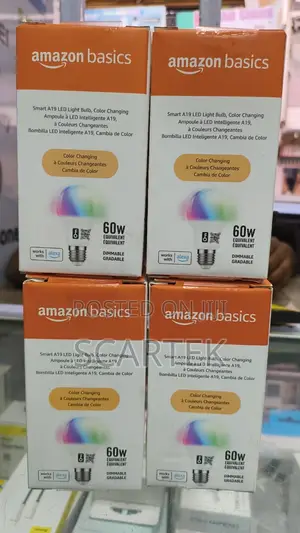 Amazon Basics Smart A19 Led Bulb