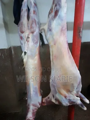 Goat Meat in Wholesale