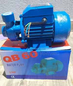 QB 60 Booster Pump 0.5hp