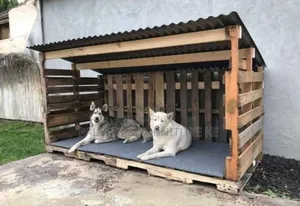 Safe Haven Kennel