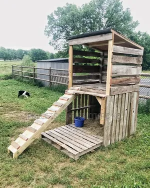 Wooden Pallet Chicken House