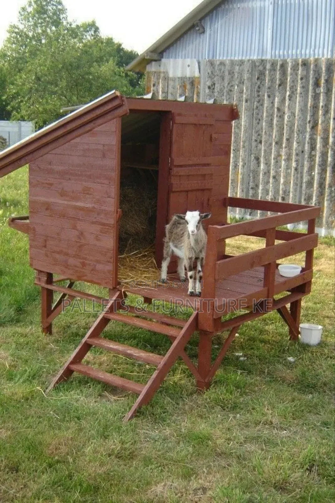 Rustic Wooden Goat Shed